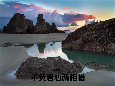 不负君心两相惜(年瑶君为止)全文免费阅读最新章节大结局_不负君心两相惜最新章节列表_笔趣阁