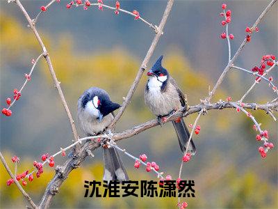 沈淮安陈潇然(陈潇然沈淮安)全文免费阅读无弹窗大结局_沈淮安陈潇然(陈潇然沈淮安)最新章节列表