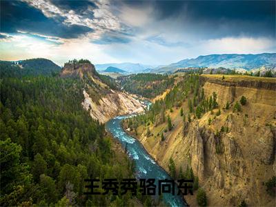 骆向东王秀秀全文免费(王秀秀骆向东)全文免费阅读无弹窗大结局_(王秀秀骆向东全文免费骆向东王秀秀)