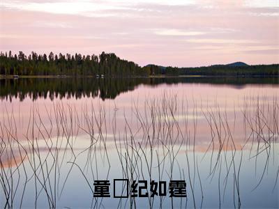 童婳纪如霆（童婳纪如霆）小说最新章节-小说童婳纪如霆（童婳纪如霆）完整版全文在线赏析