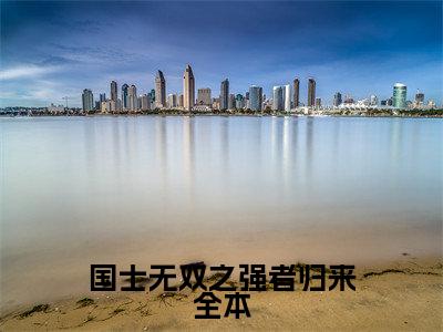 国士无双之强者归来小说全文免费阅读无弹窗大结局_国士无双之强者归来最新章节列表_笔趣阁