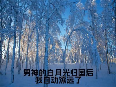 男神的白月光归国后我自动滚远了全文免费阅读无弹窗-(苏星蕴迟为简)男神的白月光归国后我自动滚远了最新章节列表在线阅读