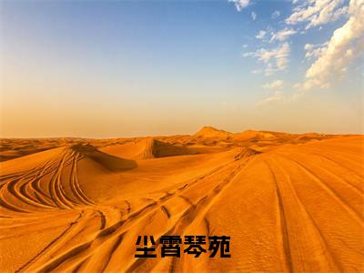尘霄琴苑小说(琴苑尘霄)全文免费阅读无弹窗大结局_琴苑尘霄最新章节列表(琴苑尘霄)