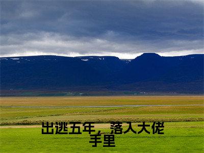 出逃五年，落入大佬手里（乔苡沫）全文免费阅读无弹窗大结局_(乔苡沫小说免费阅读)最新章节列表_笔趣阁