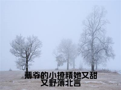 姜知岁薄北言是哪部小说的主角，薄爷的小撩精她又甜又野薄北言全文在线赏析