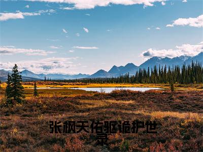 驱诡护世录 张枫天佑完整版最新小说大结局，驱诡护世录免费完结版