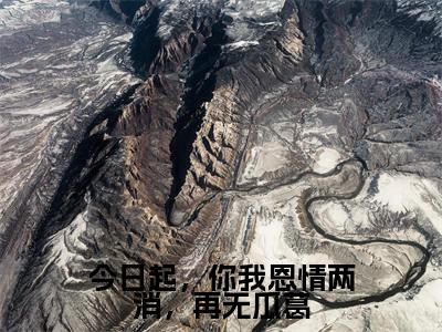 今日起，你我恩情两消，再无瓜葛(陆金陵楚寻逍)全文免费阅读无弹窗大结局_(陆金陵楚寻逍免费阅读)今日起，你我恩情两消，再无瓜葛无弹窗最新章节列表