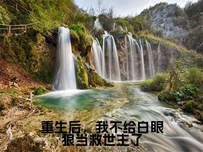 重生后,我不给白眼狼当救世主了(白焰顾晟)全文免费阅读大结局_重生后,我不给白眼狼当救世主了全文在线完本阅读