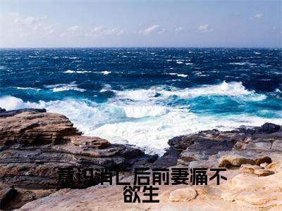 陈可馨林之航(意识消亡后前妻痛不欲生)在哪免费看-小说(陈可馨林之航)意识消亡后前妻痛不欲生全文完整版免费阅读
