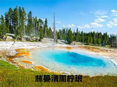林晏清周柠琅(周柠琅林晏清小说)全文免费阅读无弹窗大结局_周柠琅林晏清小说免费阅读最新章节列表
