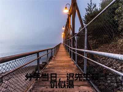 蓝浔(分手当日,迟先生如饥似渴)最后结局如何-最火热点小说分手当日,迟先生如饥似渴最新更新
