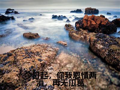 陆金陵楚寻逍小说(今日起,你我恩情两消,再无瓜葛)全文免费阅读无弹窗大结局_(陆金陵楚寻逍免费阅读全文大结局)最新章节列表