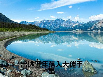 出逃五年落入大佬手里(乔苡沫)小说全文免费阅读无弹窗大结局_出逃五年落入大佬手里小说免费阅读最新章节列表笔趣阁(乔苡沫)
