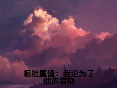 疯批重逢:我沦为了他的猎物(张伟)全文免费阅读无弹窗大结局_疯批重逢:我沦为了他的猎物最新章节列表-笔趣阁张伟