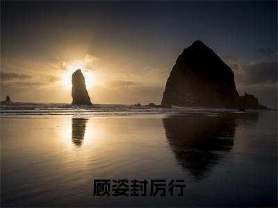 顾姿封厉行(厉行顾姿封)全文免费读无弹窗大结局_(厉行顾姿封免费小说)顾姿封厉行无弹窗最新章节列表
