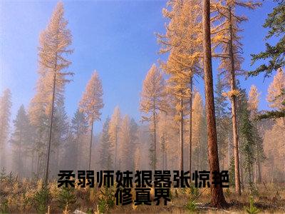 虞晚全文免费阅读无弹窗大结局_(虞晚)最新章节列表笔趣阁（柔弱师妹狠嚣张惊艳修真界）