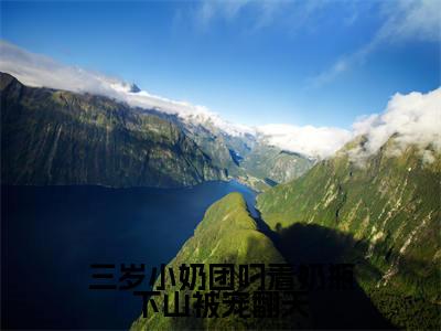三岁小奶团叼着奶瓶下山被宠翻天免费阅读无弹窗大结局-姜颜落（三岁小奶团叼着奶瓶下山被宠翻天最新全章节大结局）全文阅读