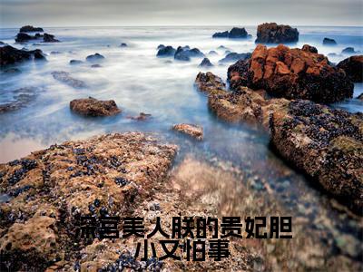 【新书】《深宫美人朕的贵妃胆小又怕事》全文免费阅读无弹窗大结局-苏溪宋祈安 全文全章节免费阅读