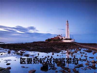 林清歌楚南枫今日阅读更新,医妻娇软战神将军掐腰宠全文在线看