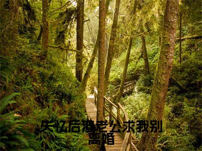 失忆后渣老公求我别离婚的小说全文免费阅读无弹窗,陆寒山乐颜的小说在线免费阅读大结局(陆寒山乐颜)