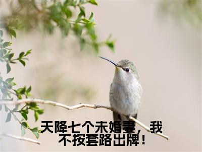 天降七个未婚妻，我不按套路出牌！（林玄小说全文）在线阅读无弹窗大结局-天降七个未婚妻，我不按套路出牌！全文无删减版阅读