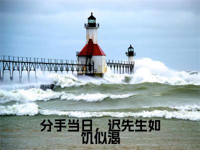 蓝浔(分手当日,迟先生如饥似渴)小说全文-蓝浔无弹窗免费阅读