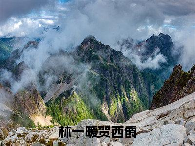 贺西爵林一暖(林一暖贺西爵)小说全文无删减-贺西爵林一暖小说免费阅读大结局