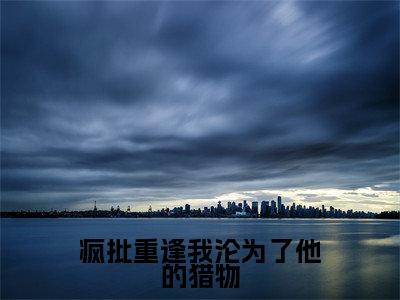 疯批重逢我沦为了他的猎物小说最新章节-任桉孟砚舟全文免费阅读无弹窗大结局