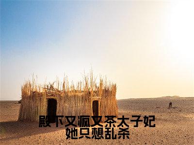 妺染宗政玄廷(殿下又疯又茶太子妃她只想乱杀)高质量小说推荐阅读-最新小说殿下又疯又茶太子妃她只想乱杀全文阅读