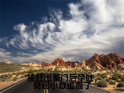 (沈婳冷昱)被赶出豪门后孕吐,财阀小叔追疯了全文免费阅读无弹窗大结局_被赶出豪门后孕吐,财阀小叔追疯了最新章节列表笔趣阁(沈婳冷昱)