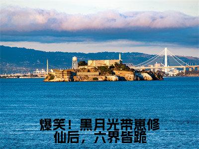 爆笑!黑月光带崽修仙后,六界皆跪(君夜澜姬流玉)最新章节在线阅读-老书虫推荐爆笑!黑月光带崽修仙后,六界皆跪小说