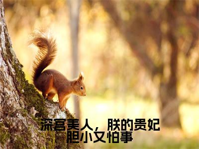 深宫美人，朕的贵妃胆小又怕事（苏溪宋祈安）免费阅读-（苏溪宋祈安）最新章节小说全文在线阅读