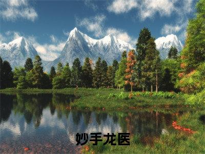 陈万里（妙手龙医）全文免费阅读无弹窗_陈万里妙手龙医最新章节免费阅读_笔趣阁