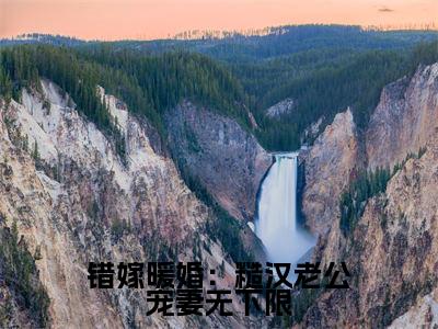 错嫁暖婚:糙汉老公宠妻无下限(陆致洵白絮)全文免费阅读无弹窗_(陆致洵白絮)错嫁暖婚:糙汉老公宠妻无下限最新章节列表