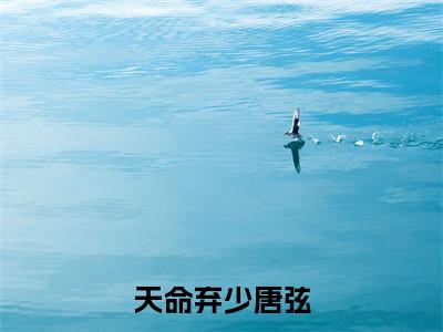 天命弃少唐弦（唐弦）老书虫良心推荐小说-天命弃少唐弦（唐弦）小说精彩免费试读