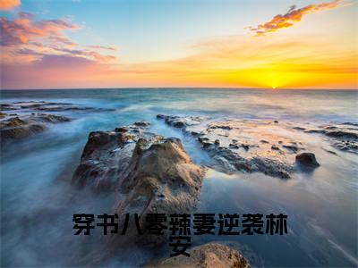 穿书八零辣妻逆袭林安(穿书八零辣妻逆袭林安)小说在线阅读_穿书八零辣妻逆袭林安全本免费小说阅读(盛夏肖林安)