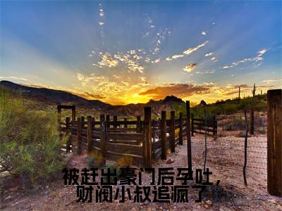 被赶出豪门后孕吐,财阀小叔追疯了(沈婳冷昱)最新免费阅读-被赶出豪门后孕吐,财阀小叔追疯了小说在线阅读
