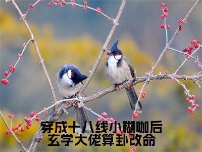 (纪禾纪星)全文免费阅读无弹窗大结局_穿成十八线小糊咖后玄学大佬算卦改命完整版最新阅读_笔趣阁(纪禾纪星)