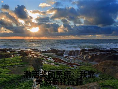 激活奖励系统：我靠美酒疯狂捡漏小说全文免费阅读_激活奖励系统：我靠美酒疯狂捡漏（ 王语嫣陈凡）最新章节列表在线阅读