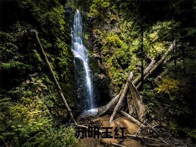  苏明王红（校园最强主宰）全文免费阅读无弹窗-校园最强主宰完整版全文在线赏析