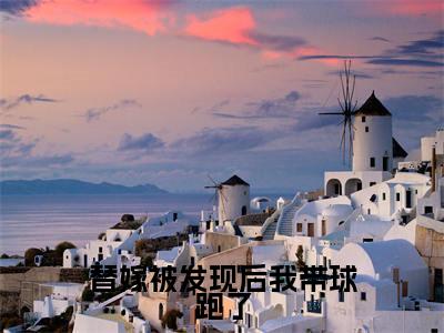 替嫁被发现后我带球跑了全文免费阅读_温暖傅随安(替嫁被发现后我带球跑了)小说在线阅读最新章节列表笔趣阁
