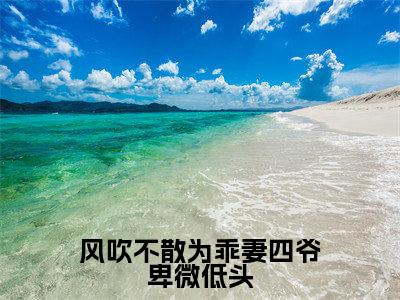 风吹不散为乖妻四爷卑微低头(风政屿安予念)全文免费阅读_风政屿安予念(风吹不散为乖妻四爷卑微低头)最新章节列表笔趣阁