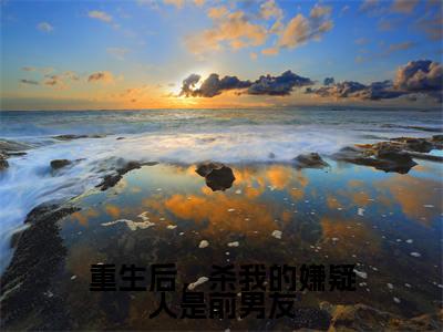 【新书】重生后，杀我的嫌疑人是前男友全文全章节免费阅读-夏灼小说免费阅读无弹窗最新章节列表