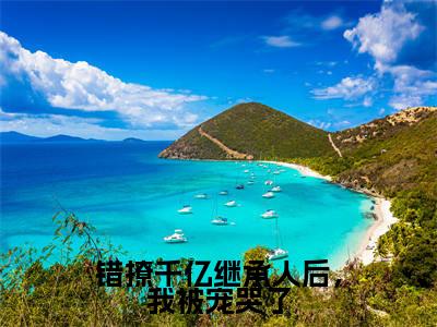 厉辰越尹卓雅(错撩千亿继承人后,我被宠哭了)小说全文免费阅读正版无弹窗 错撩千亿继承人后,我被宠哭了全文无弹窗阅读