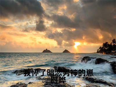 我怀了暗恋男神的崽时晔(江知念时晔)全文免费阅读大结局_我怀了暗恋男神的崽时晔（江知念时晔在线小说免费阅读）全文阅读大结局