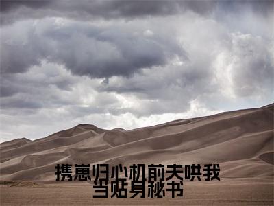 携崽归心机前夫哄我当贴身秘书(温心言江承洲大结局小说全集完整版)_(温心言江承洲小说)携崽归心机前夫哄我当贴身秘书全文阅读笔趣阁