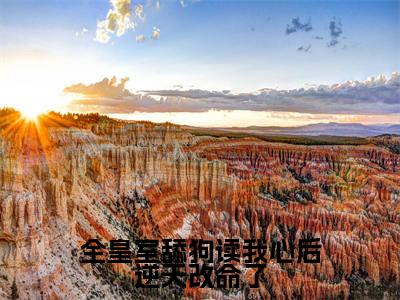 全皇室舔狗读我心后逆天改命了（沈芝芝）全文免费阅读无弹窗大结局_（全皇室舔狗读我心后逆天改命了）沈芝芝最新章节列表_笔趣阁
