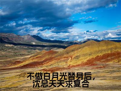 不做白月光替身后,沈总天天求复合沈璟翊虞双正版小说最新章节在线阅读-最火热点小说不做白月光替身后,沈总天天求复合最新更新