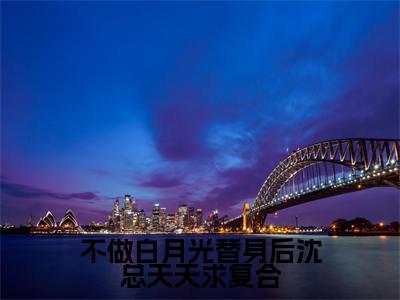 不做白月光替身后沈总天天求复合(沈璟翊虞双)全文免费阅读无弹窗_(不做白月光替身后沈总天天求复合小说免费阅读)最新章节列表笔趣阁