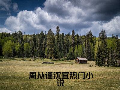小白花与总裁决裂后，他后悔疯了周从谨沈宜试读全本版全集章节小说免费阅读完整版（ 周从谨沈宜）- 周从谨沈宜小说免费阅读